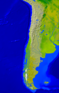 Chile Vegetation 637x1000